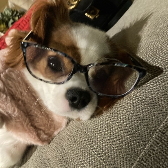 Meet your Posher, Monica - Picture 2 of 2